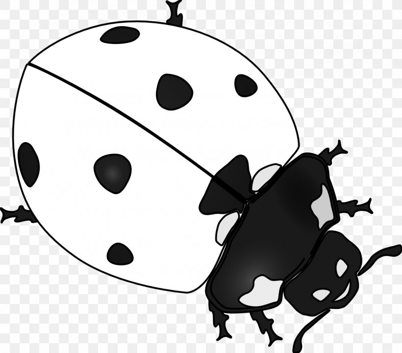 Ladybird Beetle Drawing Clip Art, PNG, 1331x1169px, Ladybird, Animation, Arthropod, Beetle, Black Download Free