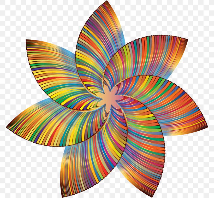 Line Art Color Flower Clip Art, PNG, 776x758px, Line Art, Abstract Art, Art, Close Up, Color Download Free