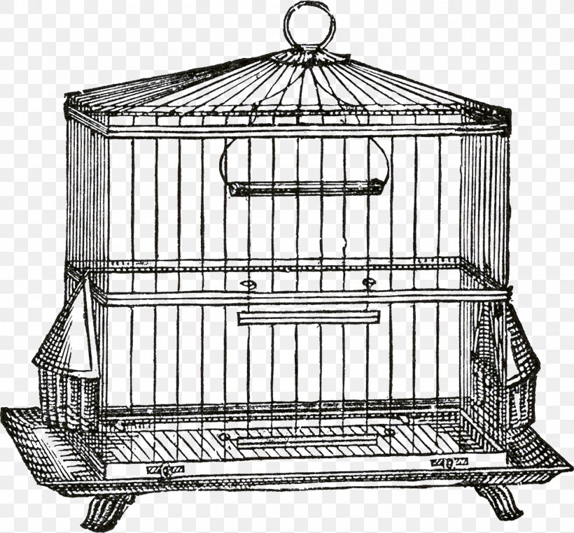 Birdcage Birdcage Domestic Canary Clip Art, PNG, 1480x1377px, Bird, Aviary, Birdcage, Cage, Collage Download Free
