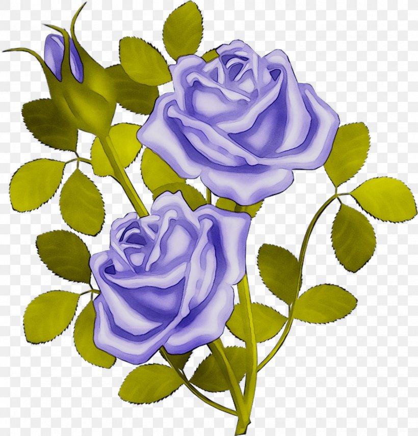 Garden Roses Blue Rose Cabbage Rose Floral Design Cut Flowers, PNG, 1125x1175px, Garden Roses, Blue Rose, Botany, Cabbage Rose, Camellia Download Free