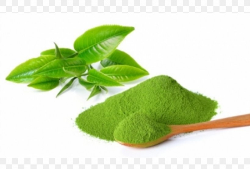 Green Tea Matcha Camellia Sinensis Japanese Cuisine, PNG, 1133x767px, Green Tea, Alternative Medicine, Camellia Sinensis, Cooking, Drink Download Free