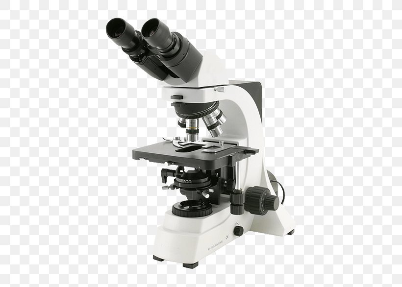 Optical Microscope Optics Phase Contrast Microscopy Laboratory, PNG, 600x586px, Optical Microscope, Achromatic Lens, Eyepiece, Laboratory, Magnification Download Free