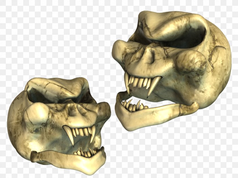 Skull Snout, PNG, 1024x768px, Skull, Bone, Jaw, Skeleton, Snout Download Free
