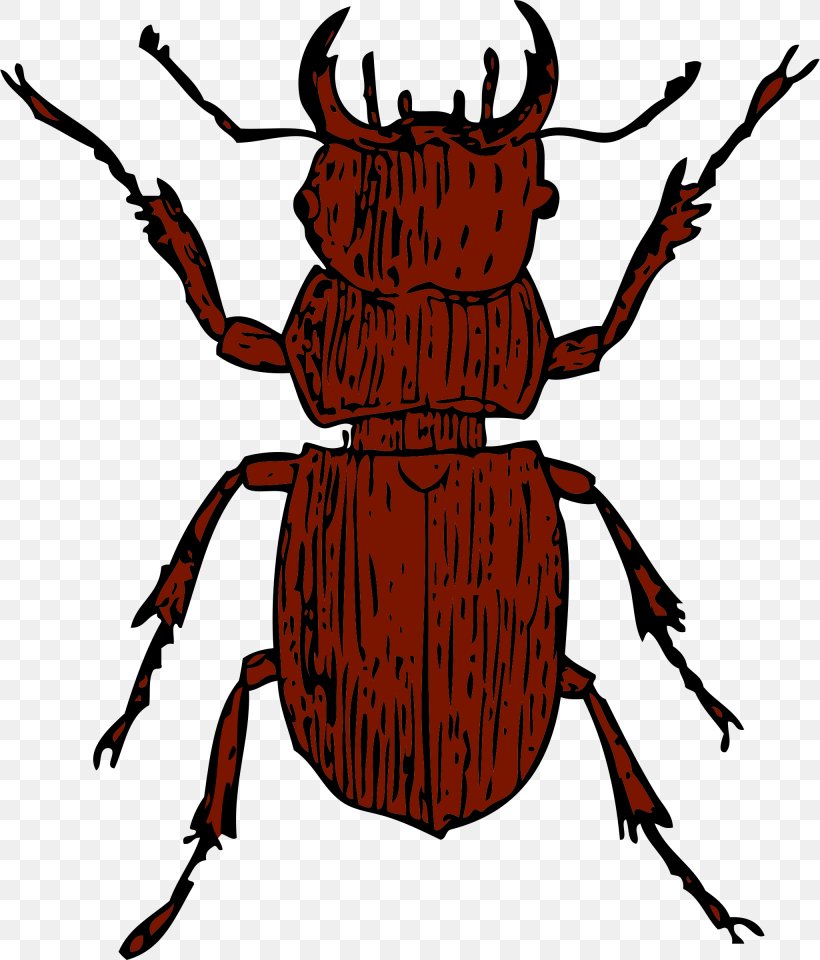 Stag Beetle Deer Clip Art, PNG, 2050x2400px, Beetle, Arthropod, Artwork, Deer, Dung Beetle Download Free