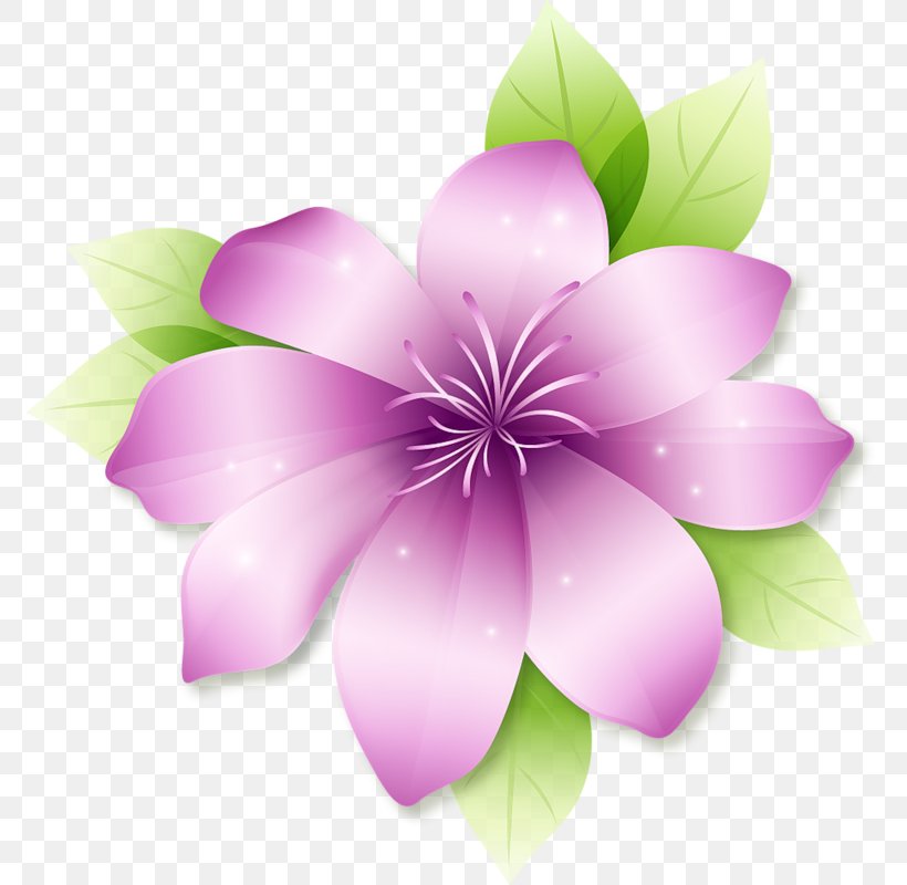 Border Flowers Clip Art, PNG, 772x800px, Border Flowers, Floral Design, Flower, Flowering Plant, Lilac Download Free