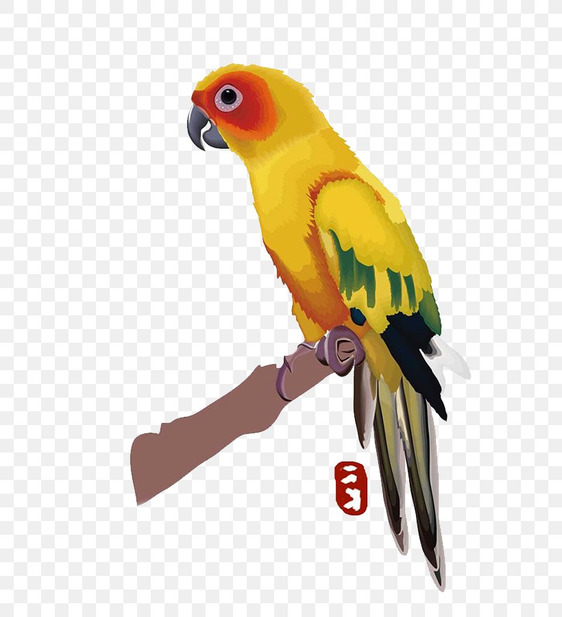 Budgerigar Parrot Lovebird Macaw, PNG, 800x900px, Budgerigar, Beak, Bird, Common Pet Parakeet, Companion Parrot Download Free
