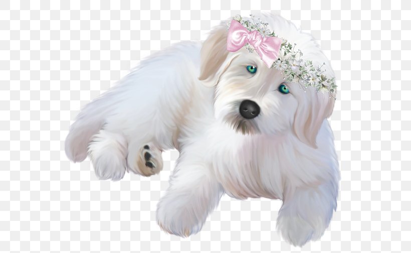 Chihuahua Dachshund Black & White Puppy Pet, PNG, 600x504px, Dachshund, Animal, Bichon, Carnivoran, Companion Dog Download Free
