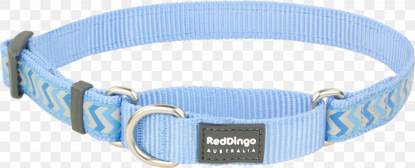 Dog Collar Dingo Blue Cat, PNG, 3000x1217px, Dog, Blue, Cat, Clothing Accessories, Collar Download Free