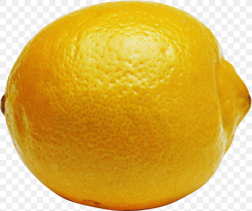 Orange, PNG, 1281x1073px, Citrus, Citron, Fruit, Lemon, Lemon Peel Download Free