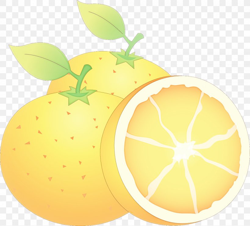 Orange, PNG, 1251x1131px, Fruit, Citrus, Grapefruit, Leaf, Mandarin Orange Download Free