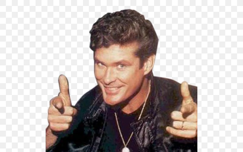 David Hasselhoff Hoff The Record Greeting & Note Cards Birthday Musician, PNG, 512x512px, Watercolor, Cartoon, Flower, Frame, Heart Download Free