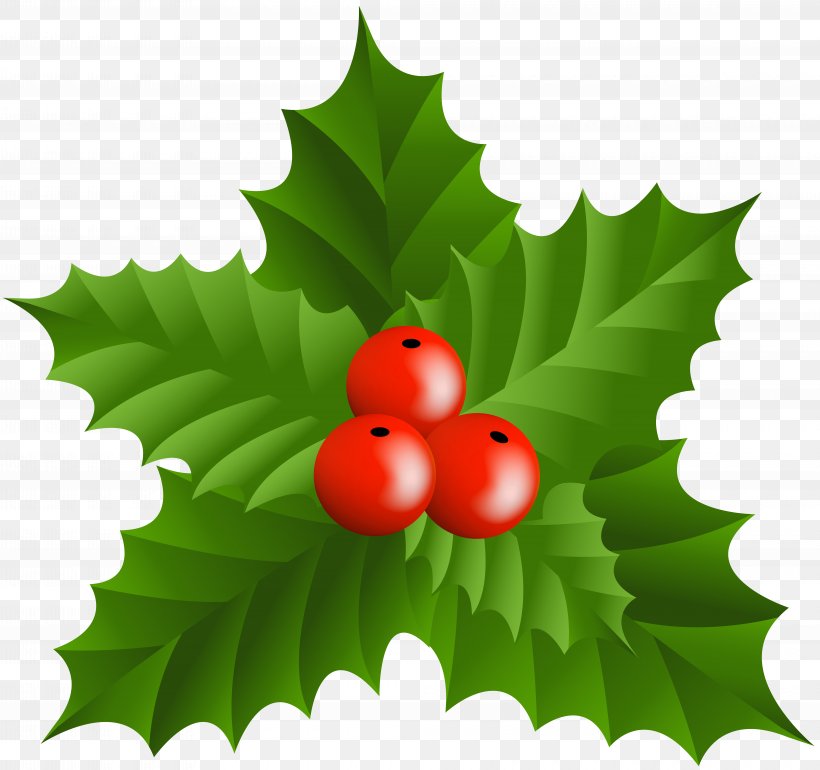 Christmas Holly Clip Art, PNG, 8000x7515px, Christmas, Aquifoliaceae, Aquifoliales, Art, Drawing Download Free