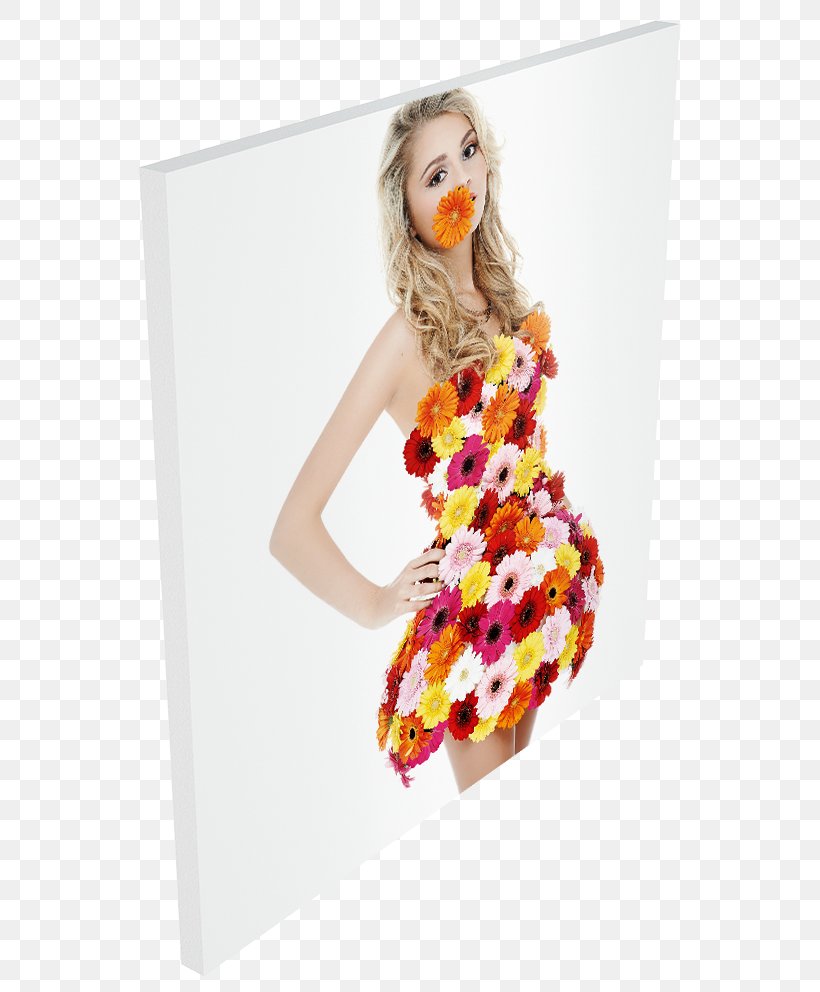 Hartschaumplatte Price Photography Trade Catalogue Sales Quote, PNG, 578x992px, Hartschaumplatte, Blond, Clothing, Colorfulness, Comparison Shopping Website Download Free