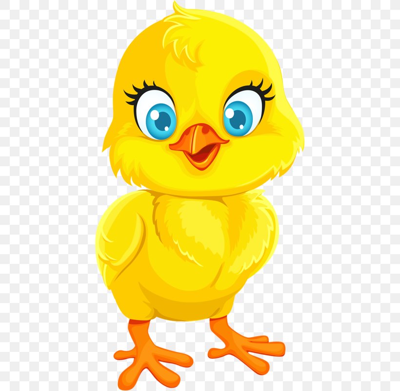 Chicken Vector Graphics Illustration Infant Stock Photography, PNG, 433x800px, Chicken, Art, Beak, Bird, Cartoon Download Free