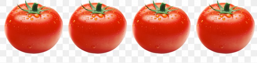 Plum Tomato Food Bush Tomato Malagueta Pepper, PNG, 1097x270px, Plum Tomato, Bell Pepper, Bell Peppers And Chili Peppers, Book, Bush Tomato Download Free