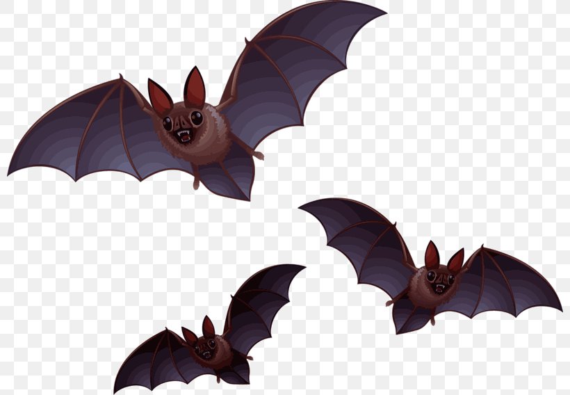 Bat Halloween Clip Art, PNG, 800x568px, Bat, Cartoon, Computer, Drawing, Festival Download Free