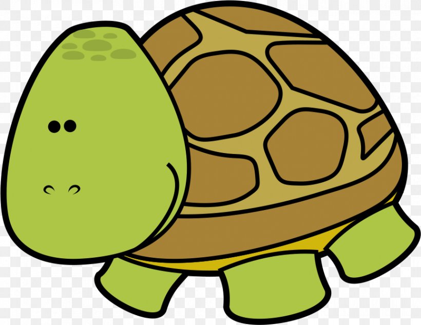 Clip Art Tortoise Image Turtle Drawing, PNG, 863x667px, Tortoise, Artwork, Classroom, Drawing, Education Download Free