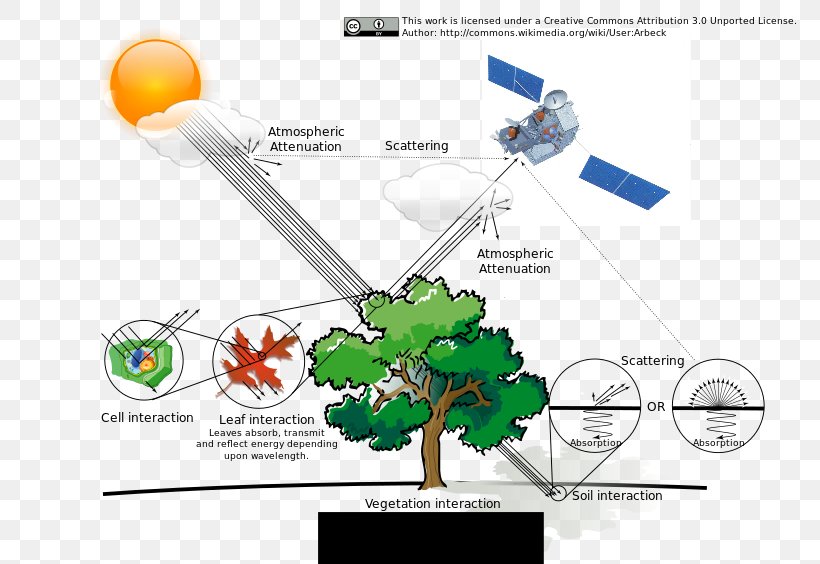 Electromagnetic Radiation Energy Electromagnetism Electromagnetic Spectrum, PNG, 800x564px, Electromagnetic Radiation, Chemical Potential, Craft Magnets, Diagram, Electricity Download Free