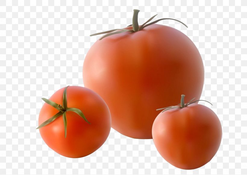 Tomato Royalty-free Illustration, PNG, 1024x726px, Tomato, Bush Tomato, Clementine, Diet Food, Food Download Free