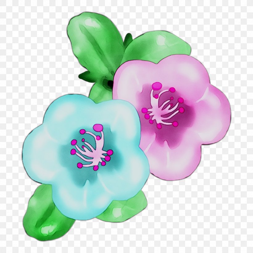 Cut Flowers Turquoise, PNG, 1116x1116px, Cut Flowers, Flower, Impatiens, Petal, Pink Download Free