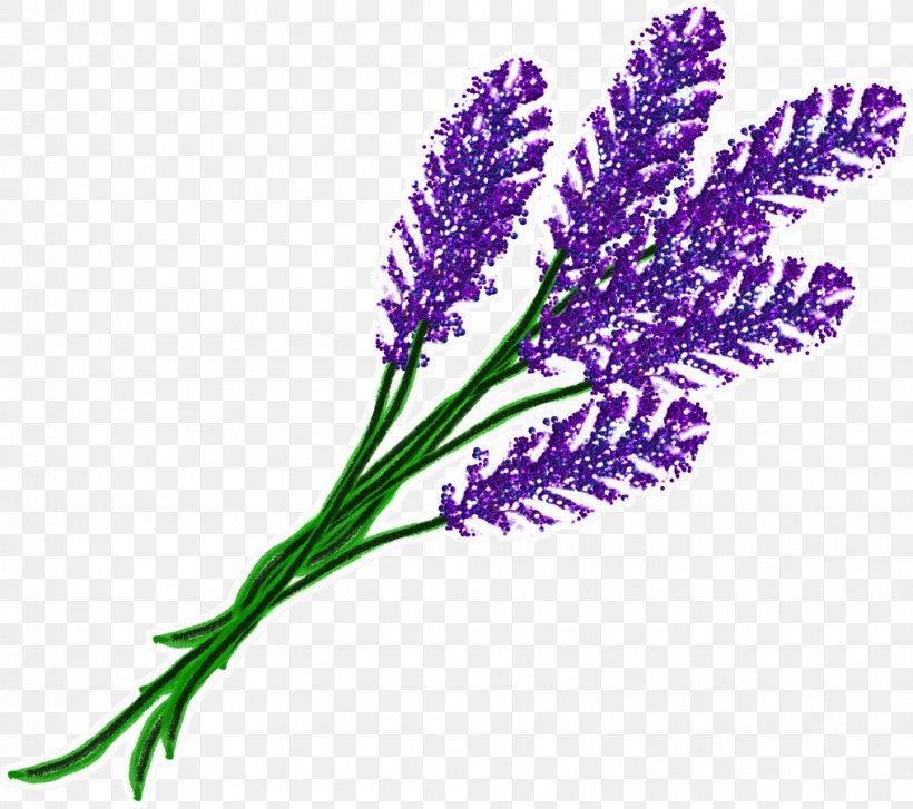 English Lavender Flower Violet French Lavender Garden Roses, PNG, 1015x900px, English Lavender, Domaine De Layaude Basse, Drawing, Flower, Flower Bouquet Download Free