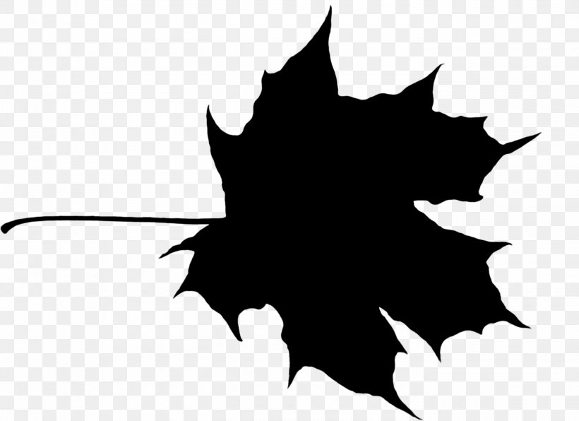 Maple Leaf Canada, PNG, 2800x2037px, Maple Leaf, Blackandwhite, Canada, Cc0lisenssi, Color Download Free