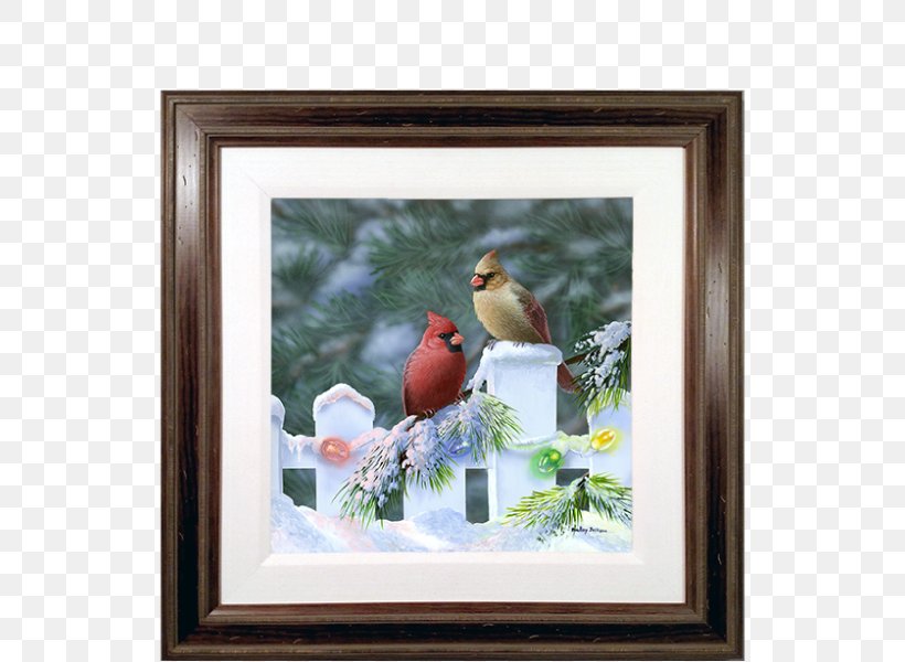 St. Louis Cardinals Northern Cardinal Bird Christmas, PNG, 600x600px, St Louis Cardinals, Bird, Bird Feeders, Cardinal, Christmas Download Free