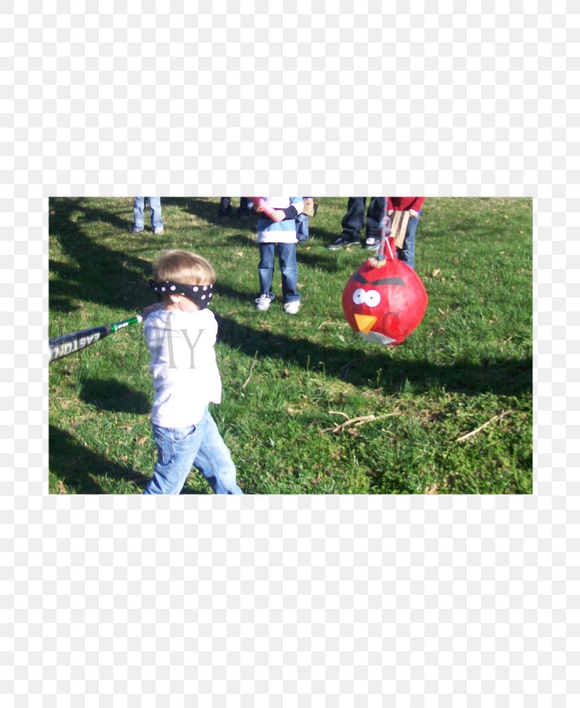 Lawn Toddler Recreation Ball, PNG, 707x1000px, Lawn, Ball, Child, Grass, Plant Download Free
