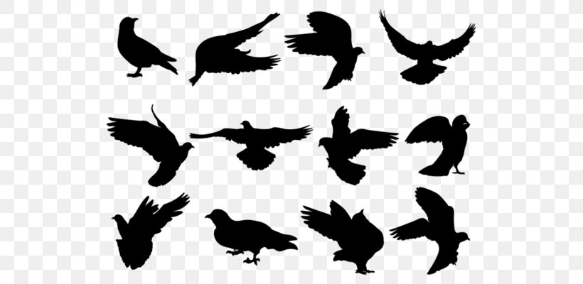 Silhouette Columbidae, PNG, 571x400px, Silhouette, Beak, Bird, Bird Of Prey, Black And White Download Free