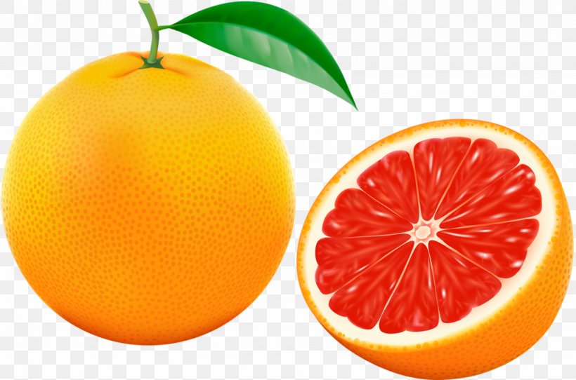 Grapefruit Orange Vector Graphics Illustration, PNG, 1024x677px, Grapefruit, Bitter Orange, Calamondin, Citric Acid, Citrus Download Free