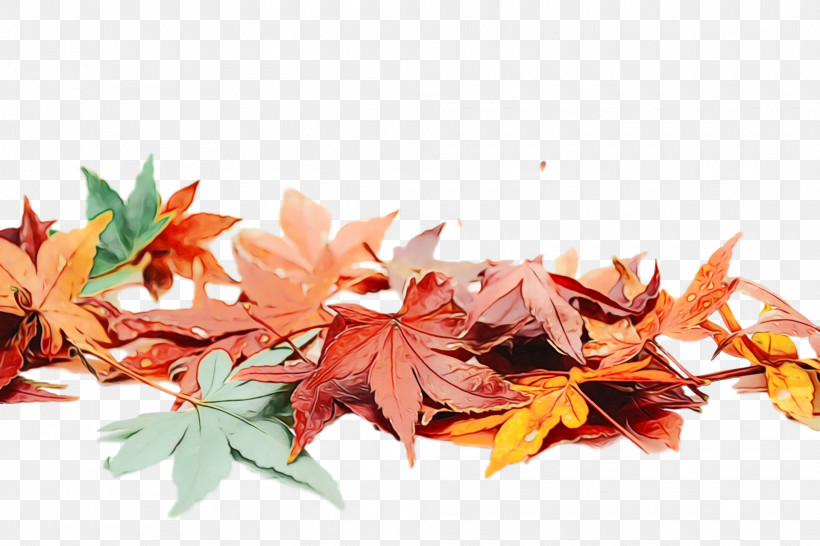 Maple Leaf, PNG, 1920x1280px, Watercolor, Biology, Leaf, Maple, Maple Leaf Download Free