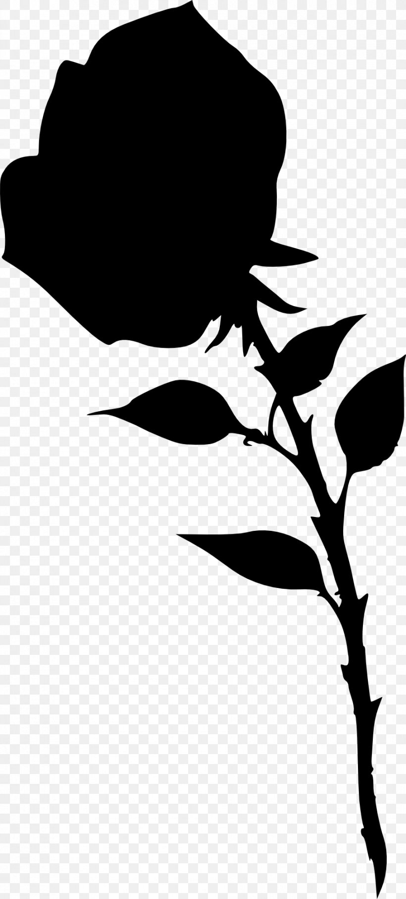Silhouette Clip Art, PNG, 905x2000px, Silhouette, Artwork, Black, Black And White, Branch Download Free