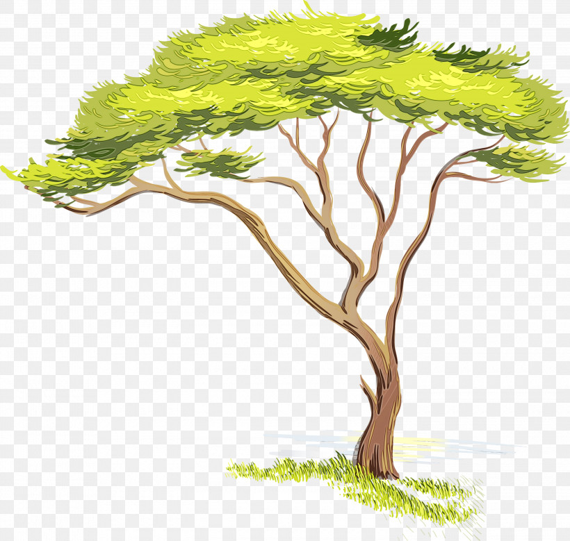 Tree Green Vegetation Plant Woody Plant, PNG, 3000x2852px, Watercolor, Branch, Grass, Green, Paint Download Free
