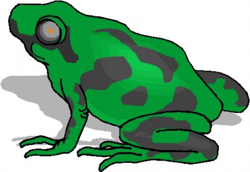True Frog Amphibian Lithobates Clamitans Clip Art, PNG, 2400x1656px, Frog, Amphibian, Animal, Animal Figure, Artwork Download Free