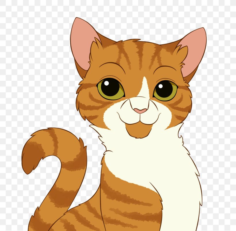 American Wirehair Whiskers Tabby Cat Domestic Short-haired Cat Wildcat, PNG, 800x801px, American Wirehair, Carnivoran, Cartoon, Cat, Cat Like Mammal Download Free