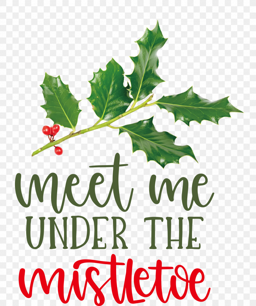 Meet Me Under The Mistletoe Mistletoe, PNG, 2510x3000px, Mistletoe, Aquifoliaceae, Aquifoliales, Biology, Branching Download Free
