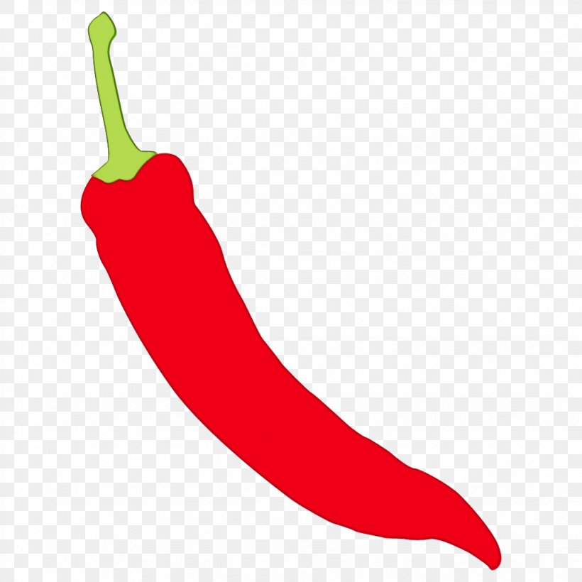 Vegetable Cartoon, PNG, 1023x1023px, Watercolor, Bell Pepper, Birds Eye Chili, Capsicum, Cayenne Pepper Download Free