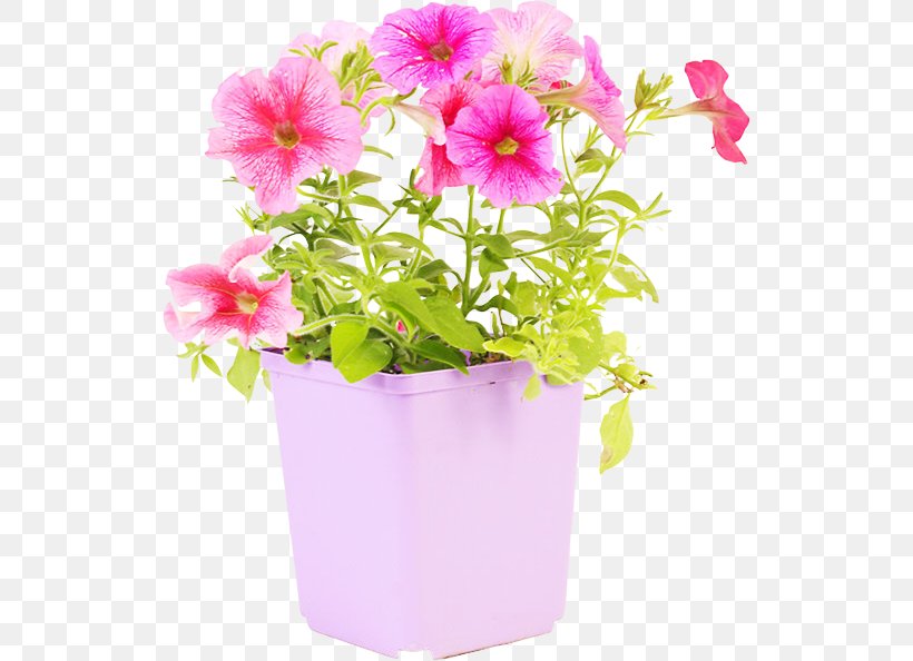 Flowerpot Floral Design Plastic Vase, PNG, 528x594px, Flowerpot, Annual Plant, Cut Flowers, Floral Design, Flower Download Free