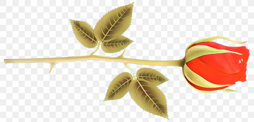 Leaf Plant Flower Petal, PNG, 1200x576px, Cartoon, Flower, Leaf, Petal, Plant Download Free