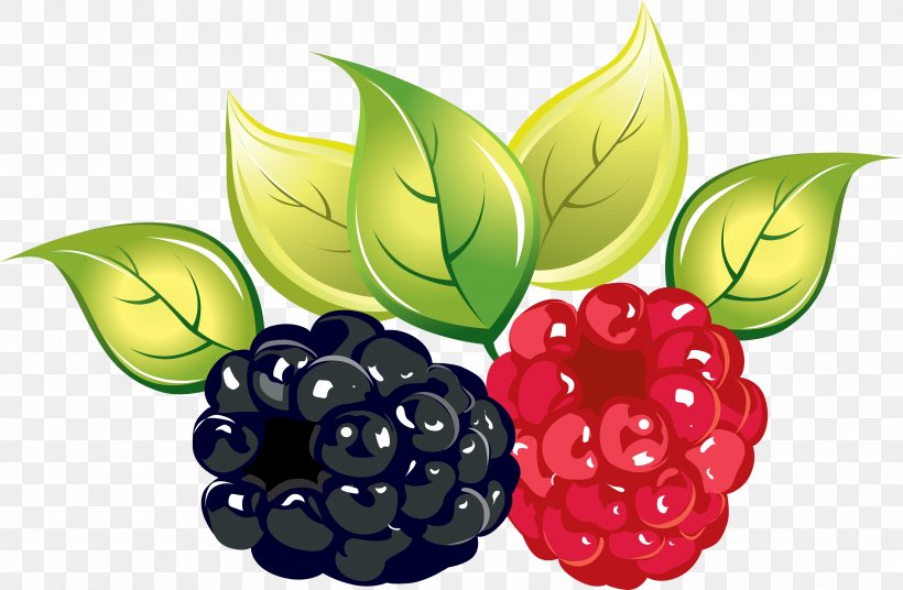 Red Raspberry Fruit Food Wallpaper, PNG, 3520x2304px, Fruit, Amora, Berry, Food, Korean Melon Download Free