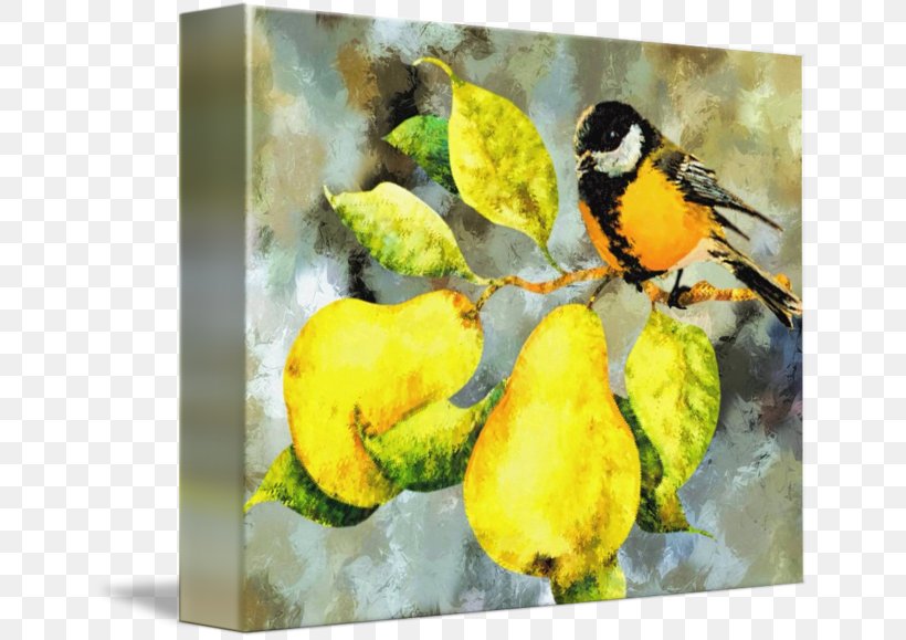 Watercolor Painting Still Life Art, PNG, 650x579px, Painting, Animal, Art, Beak, Bird Download Free
