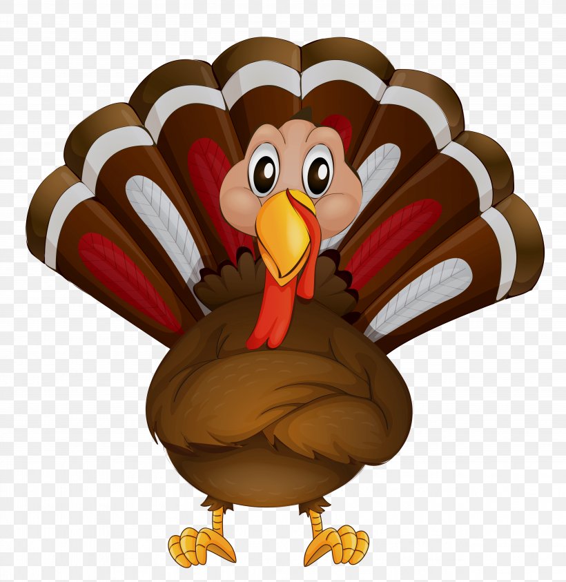 Wild Turkey Clip Art Thanksgiving Turkey Meat, PNG, 5001x5145px, Wild Turkey, Animation, Beak, Bird, Cartoon Download Free