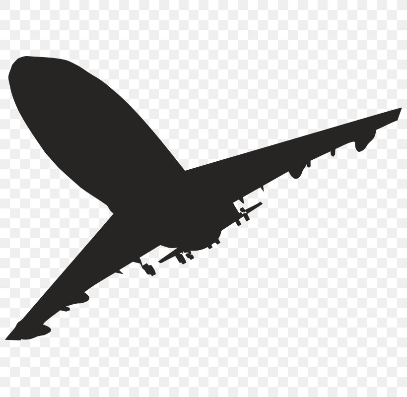 Airplane Clip Art, PNG, 800x800px, Airplane, Air Travel, Aircraft, Beak, Bird Download Free