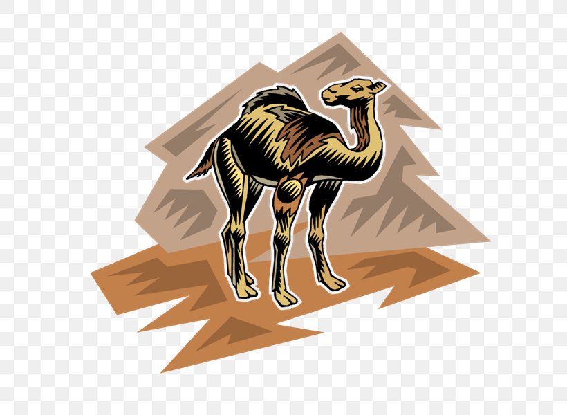 Camel PhotoScape, PNG, 800x600px, Camel, Animal, Camel Like Mammal, Digital Image, Dots Per Inch Download Free