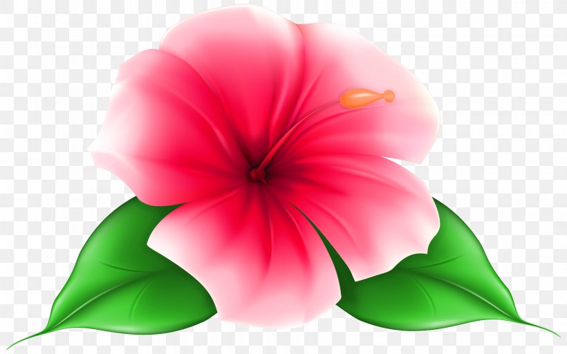 Flower Desktop Wallpaper Clip Art, PNG, 7000x4371px, Flower, Annual Plant, Close Up, Color, Coloring Book Download Free