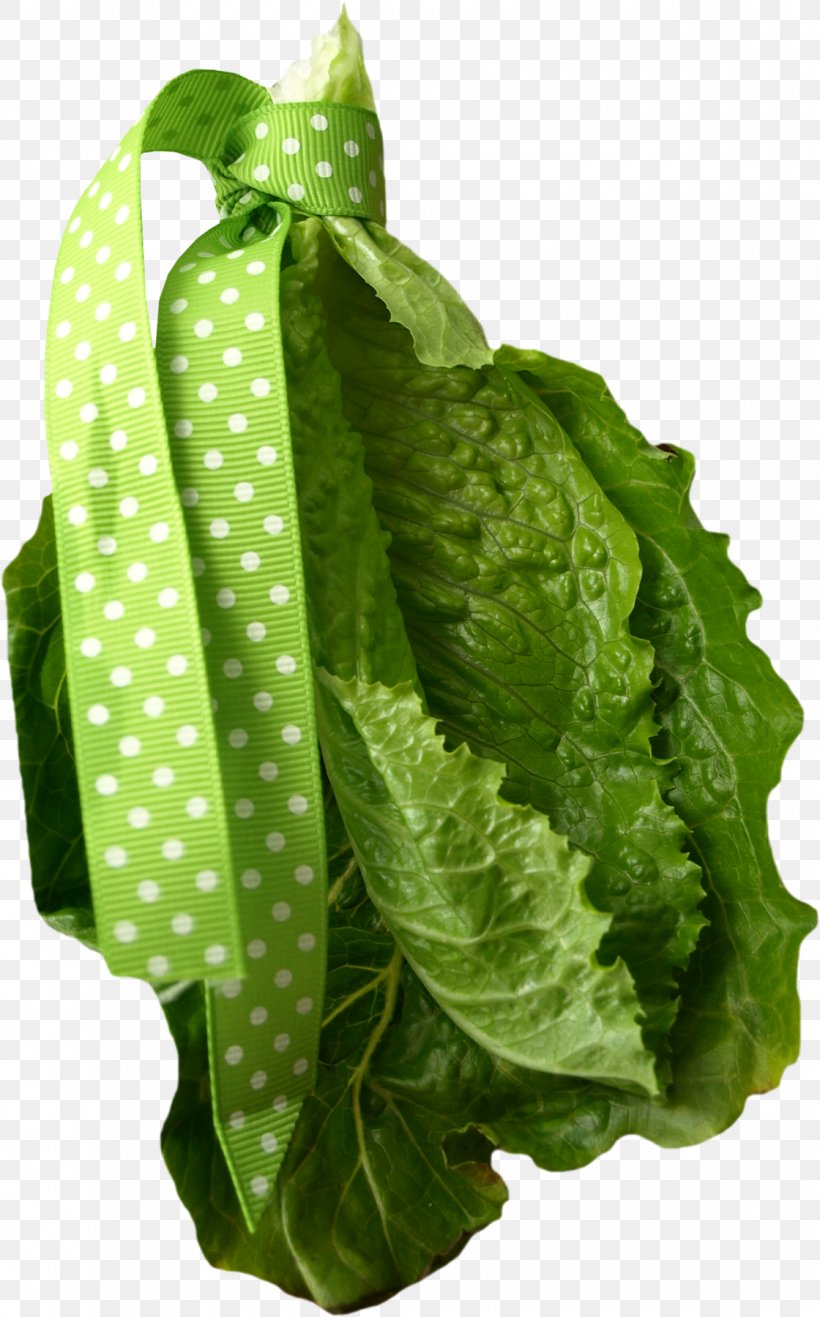 Green Leaf Background, PNG, 1120x1800px, Romaine Lettuce, Albom, Anthurium, Cabbage, Easter Download Free