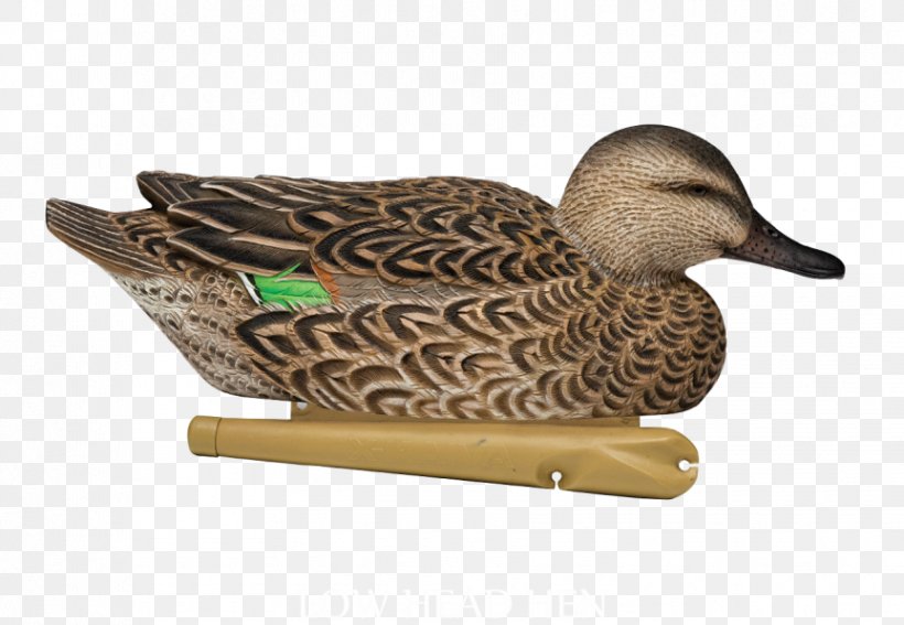 Mallard Duck Fauna Beak, PNG, 863x597px, Mallard, Beak, Bird, Duck, Ducks Geese And Swans Download Free