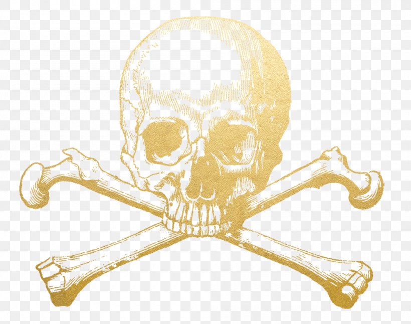 Skull And Crossbones Skull And Bones Human Skeleton, PNG, 1000x788px, Skull, Bone, Freemasonry, Human Skeleton, Information Download Free