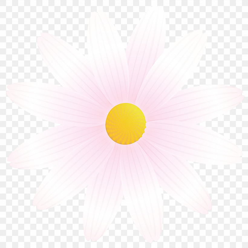 Marguerite Flower Spring Flower, PNG, 3000x3000px, Marguerite Flower, Circle, Daisy Family, Flower, Gerbera Download Free