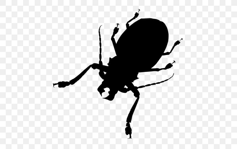 Weevil Insect Clip Art Line Silhouette, PNG, 500x517px, Weevil, Arthropod, Beetle, Blister Beetles, Darkling Beetles Download Free